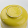 Hokanbowl-Lemon-Yellow-Large-bottom