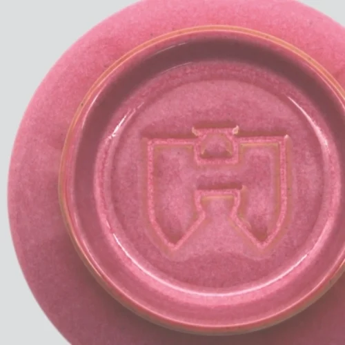 Hokanbowls_Pink_lid_1